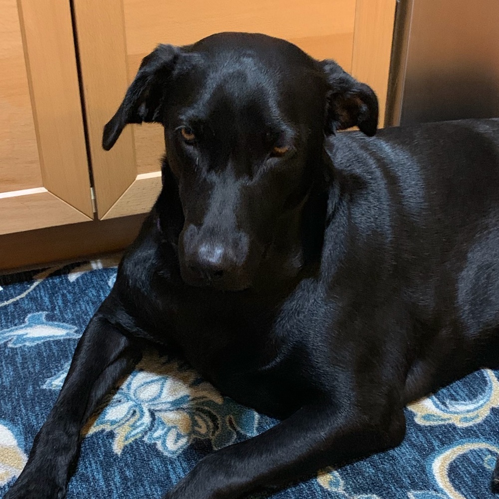 Meet your Posher, Marissa